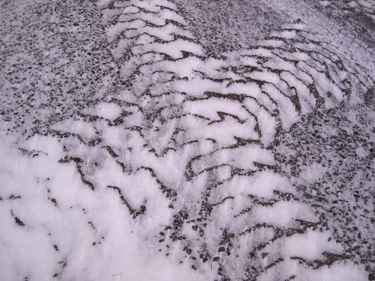 雪 冬 霜 氷 写真