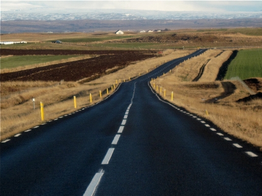 Horizon road field prairie Photo