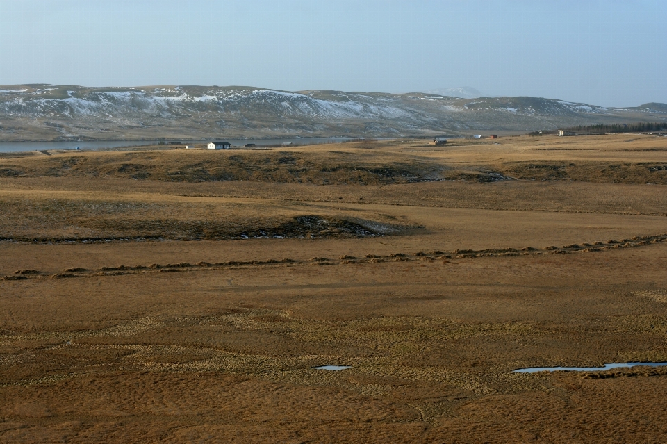 Paesaggio orizzonte palude
 natura selvaggia
