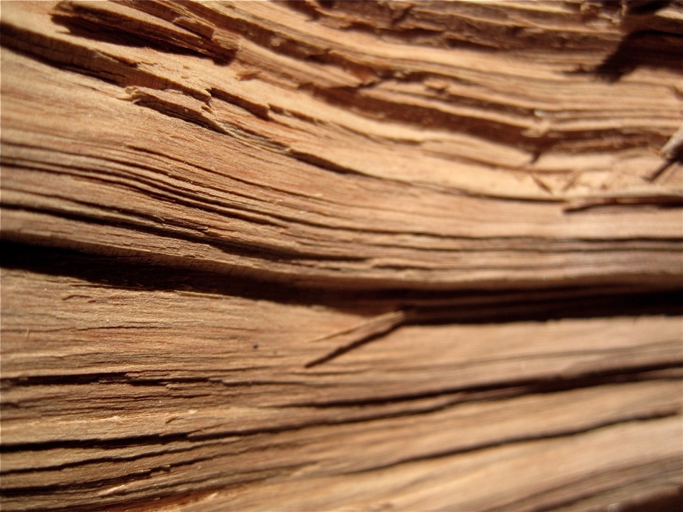 Sand branch wood texture