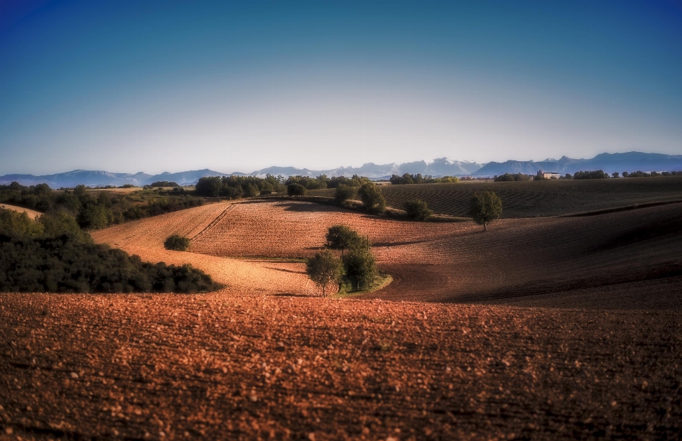 Paesaggio natura erba orizzonte