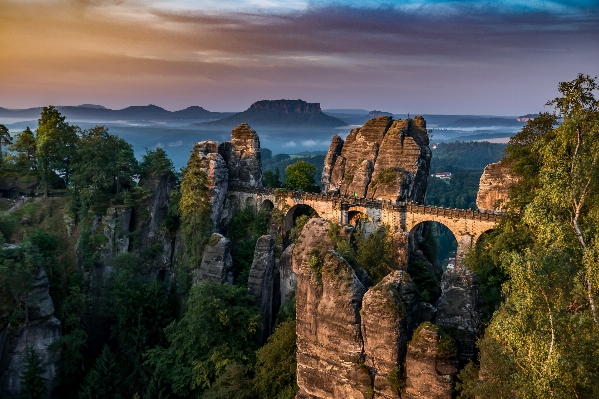 Photo Paysage côte arbre extérieur