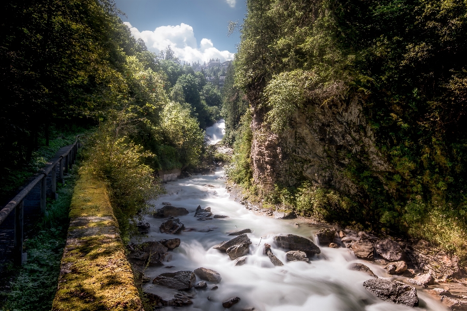 Landschaft wasser natur wald