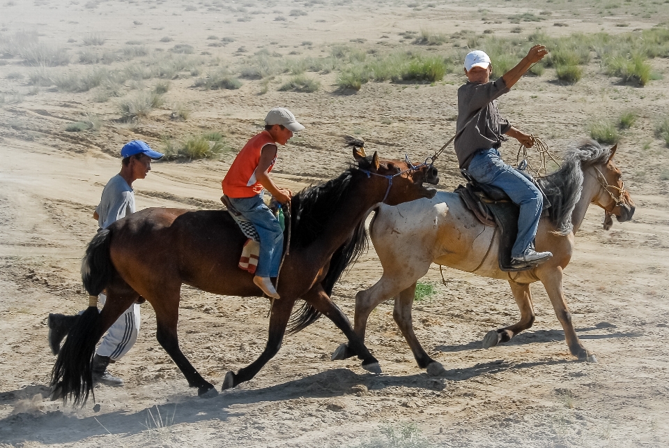 Dış mekan festival spor dalları kısrak
