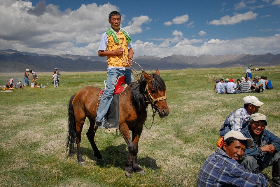 Paisaje exterior caballo competencia