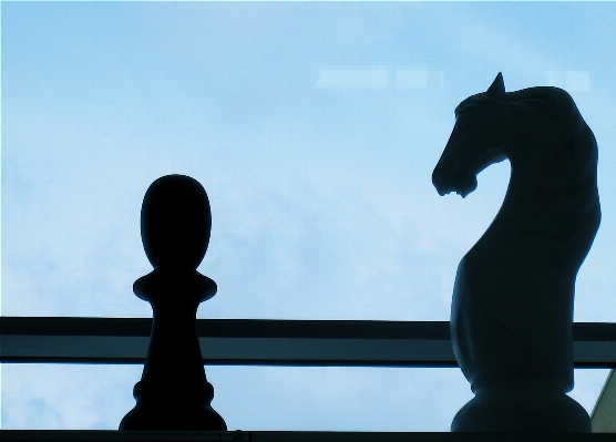 Silhouette monument statue horse Photo