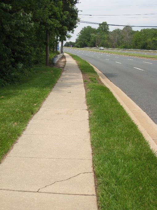 Grass road lawn sidewalk