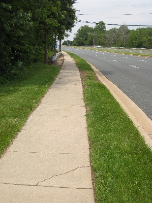 Grass road lawn sidewalk Photo