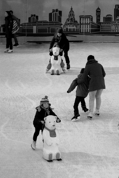 Baum schnee winter schwarz und weiß
