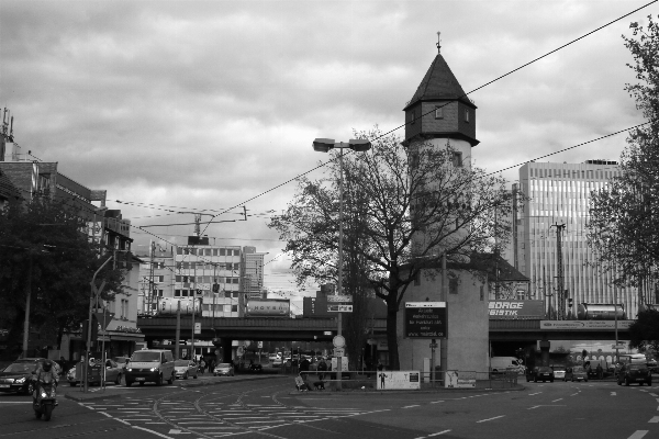 Foto Albero bianco e nero
 architettura strada