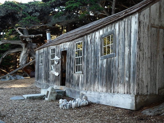 Foto Kayu rumah bangunan dinding