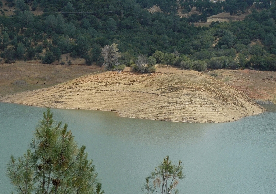 Ağaç el değmemiş doğa
 dağ göl Fotoğraf