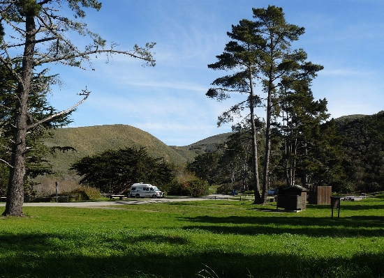 Photo Paysage arbre nature herbe