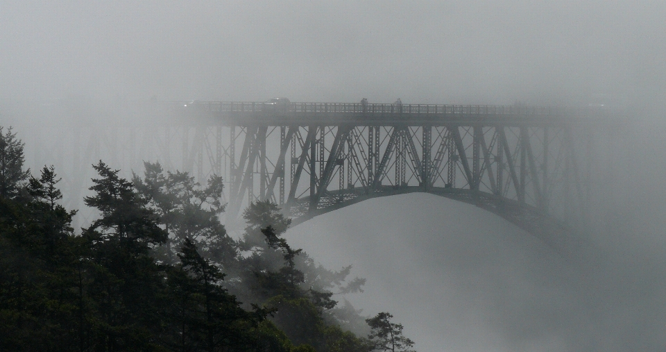 Fog mist morning weather