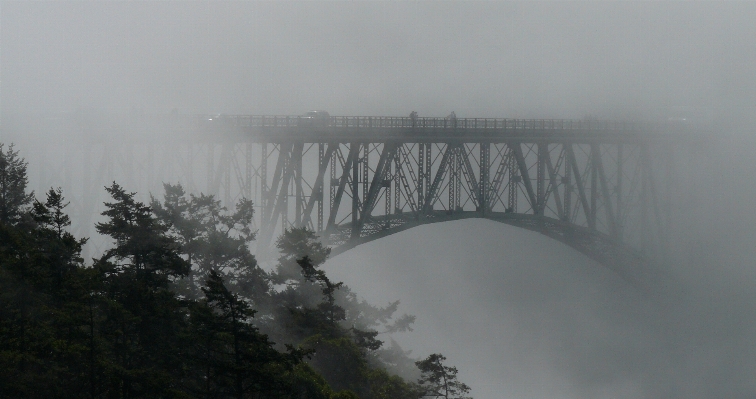 Fog mist morning weather Photo