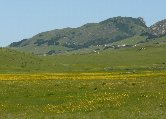 Landscape grass wilderness mountain Photo