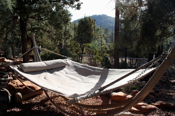 Boat vehicle hammock strawberryaz Photo