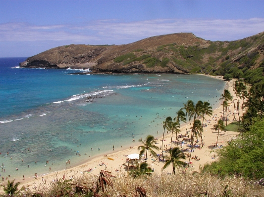 Beach sea coast shore Photo