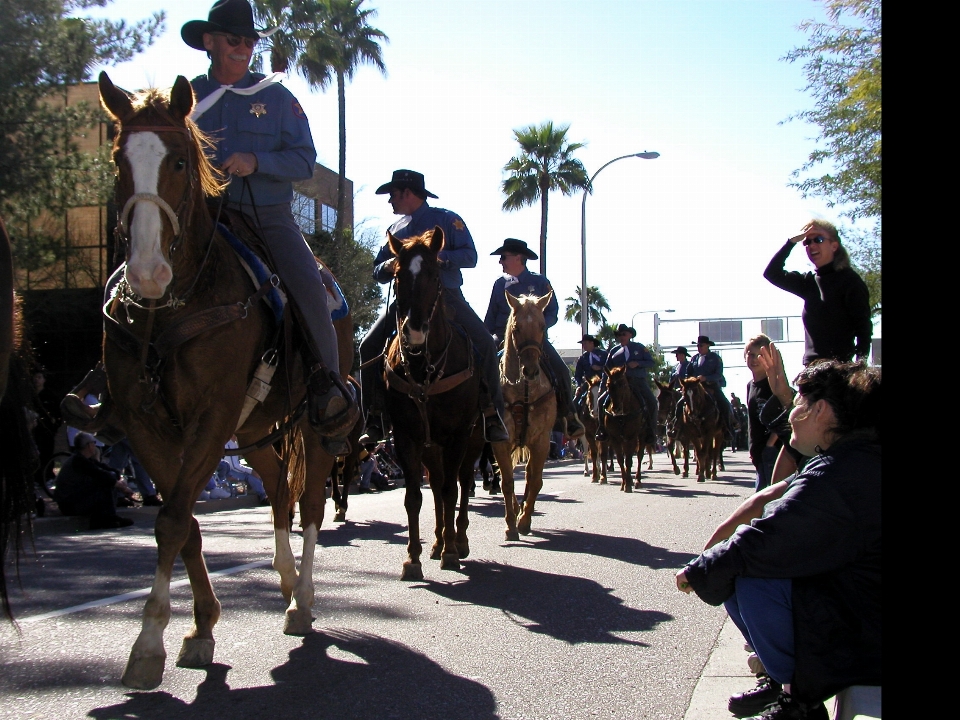 Horse parade arizona jockey