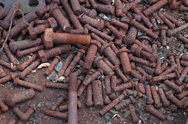 Wood food produce soil Photo