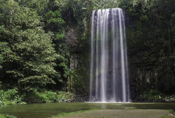 Landscape water forest outdoor Photo