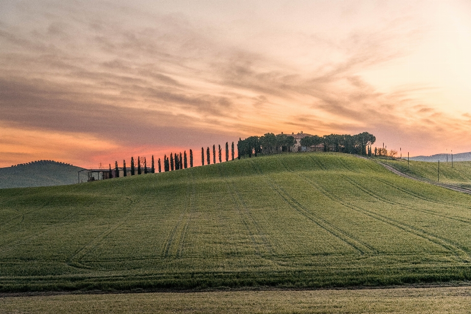 Landscape nature grass horizon