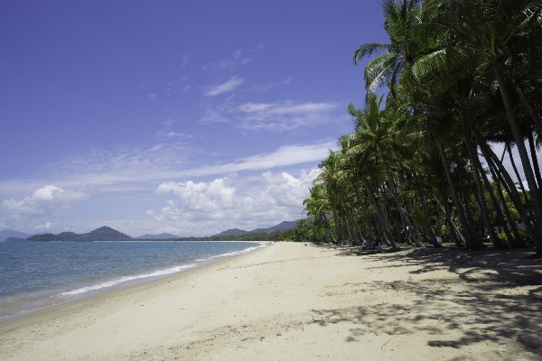 Beach sea coast water Photo