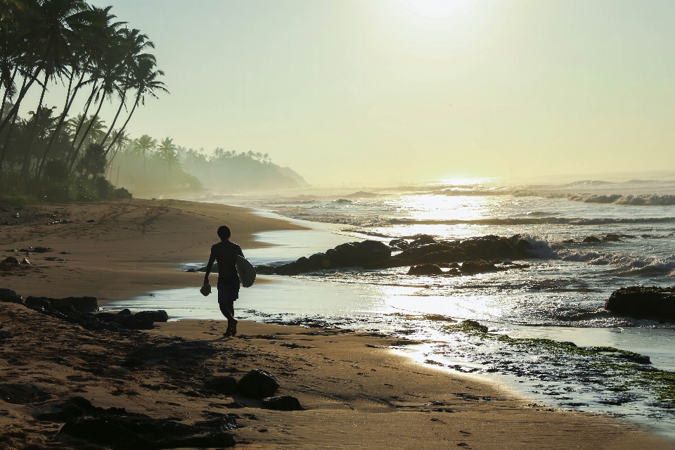 Beach landscape sea coast