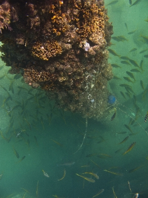 海 水 海洋 写真撮影 写真