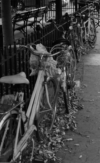 Black and white road street bicycle