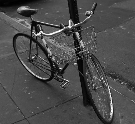 Black and white wheel bicycle Photo