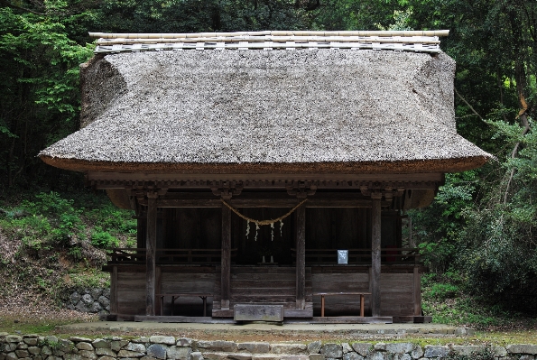 Tree architecture wood house Photo