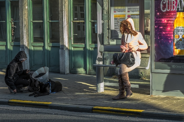 Zdjęcie Pieszy droga ulica pies