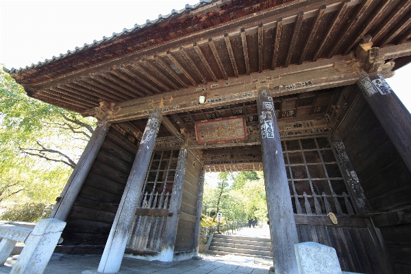 Roof high property gate Photo