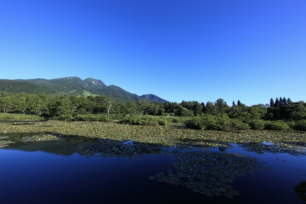 Landscape sea water nature Photo