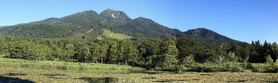 Wald wildnis
 gehen berg