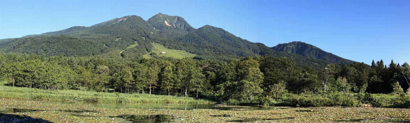 Wald wildnis
 gehen berg Foto