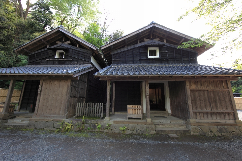 大厦 房子 屋顶 建筑