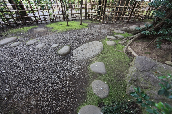 Lawn walkway pond stream Photo