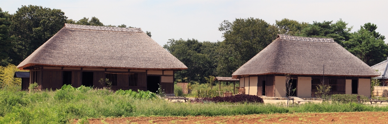 Farm house roof building Photo