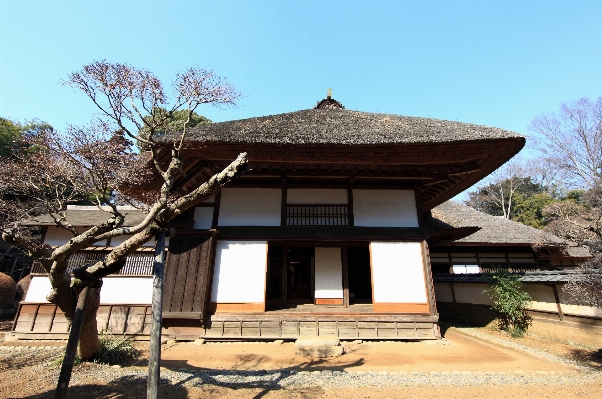 Architecture villa house roof Photo