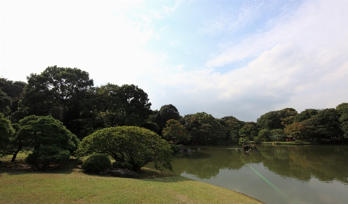 Landscape sea tree river Photo