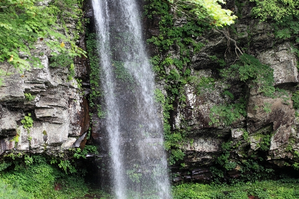 森 rock 滝 形成 写真