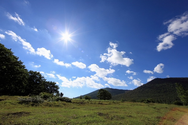 Landscape nature grass horizon Photo