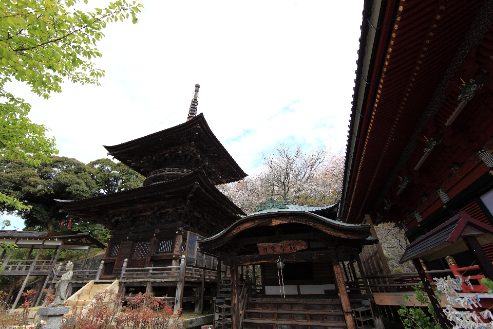 建築 建物 高い 礼拝の場
