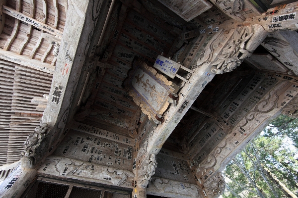 Architecture structure wood roof Photo