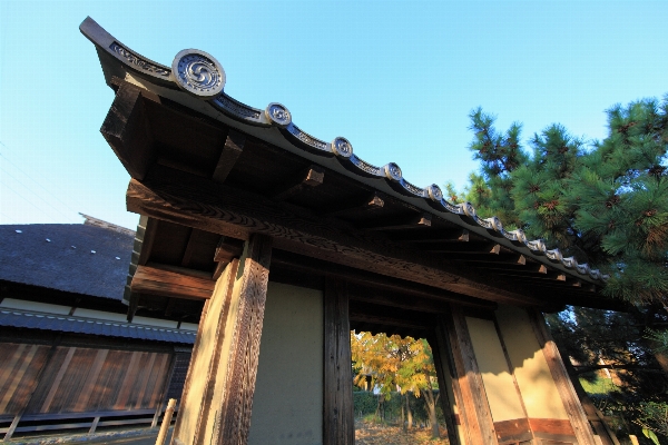 Architecture house roof old Photo