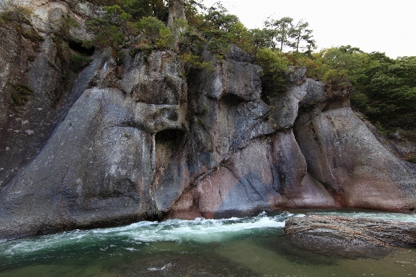 Zdjęcie Drzewo rock tworzenie klif