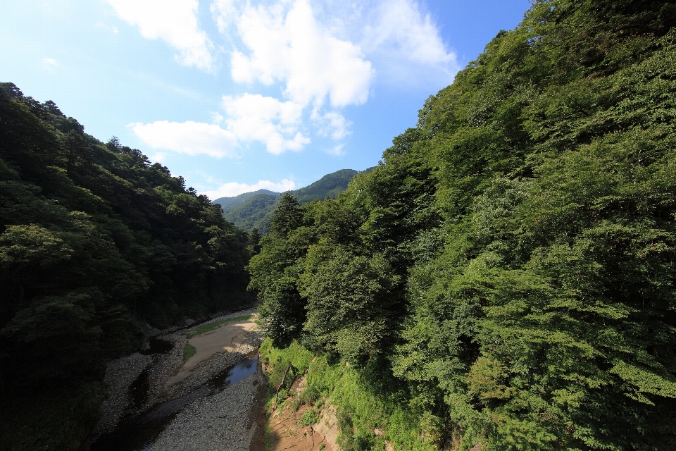 Marche montagne pont aventure