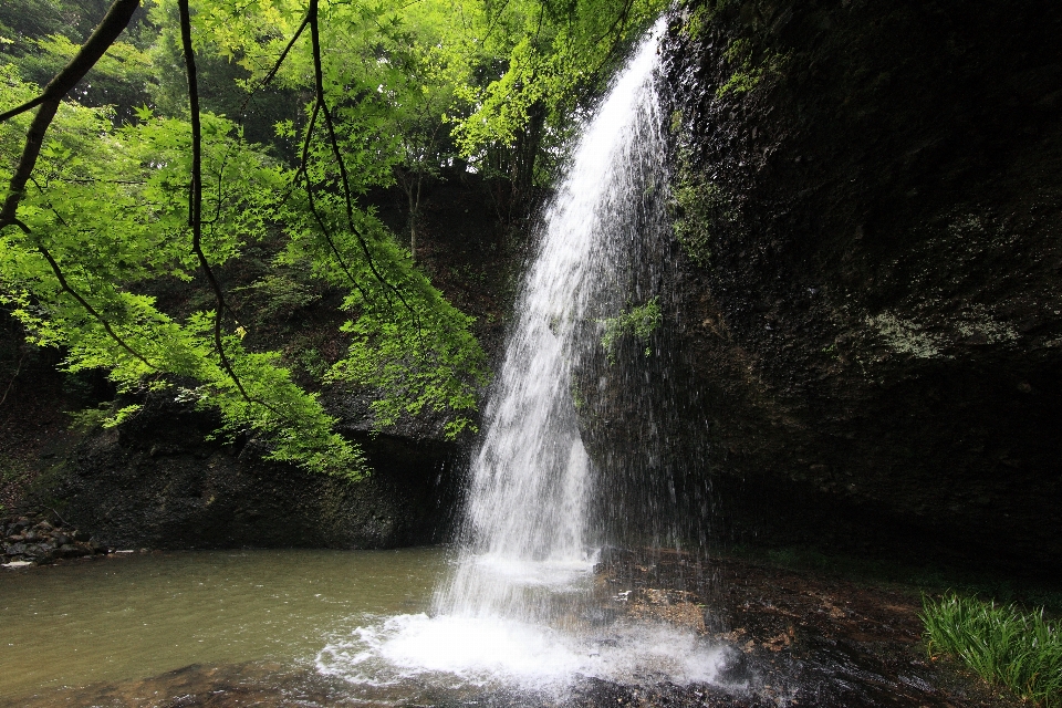 Water waterfall stream high